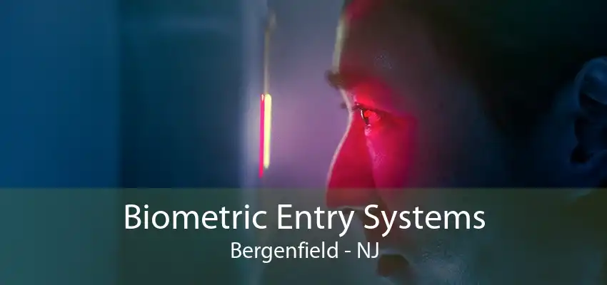 Biometric Entry Systems Bergenfield - NJ