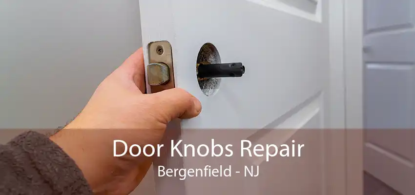 Door Knobs Repair Bergenfield - NJ
