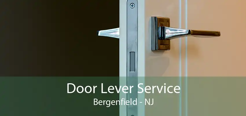 Door Lever Service Bergenfield - NJ